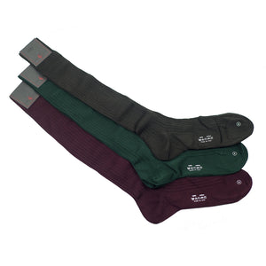 Box set of 3 over-the-calf fil d'ecosse cotton socks, burgundy, green & brown